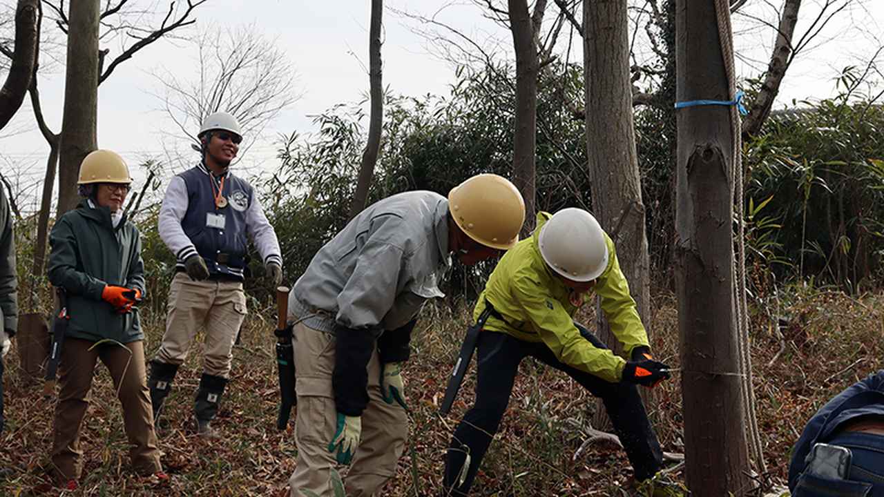 画像: 倒す木は直径20cmほど、まずは受け口を作ります
