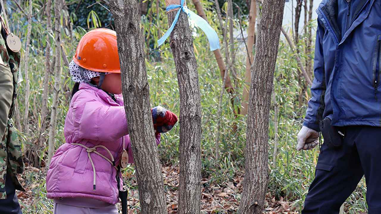画像: 子どもたちは小木の伐採を体験しました