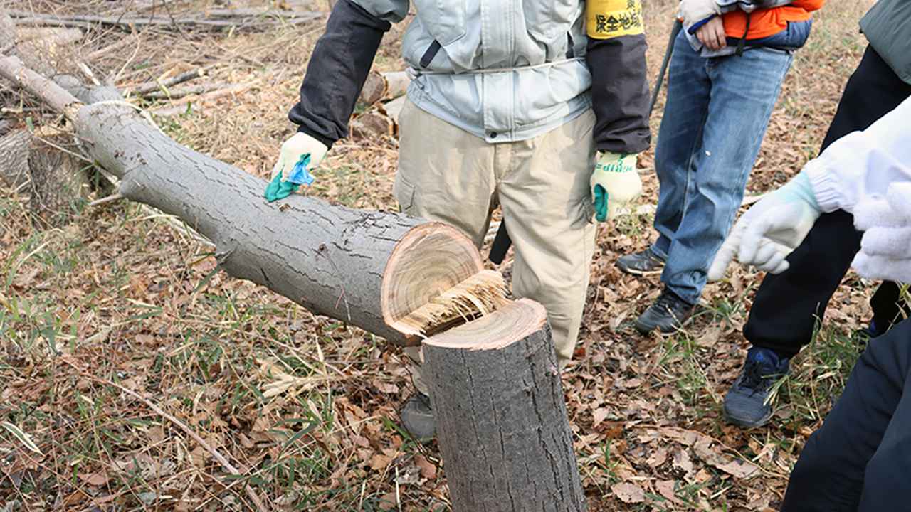 画像: 無事に倒すことができました。