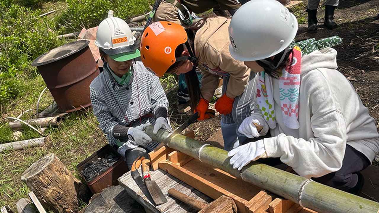 画像: 上手に切れています