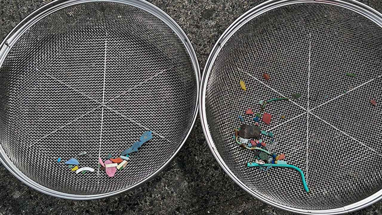 画像: ほかの参加者の成果も