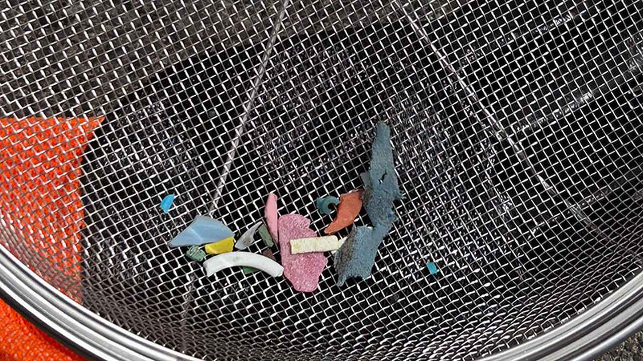 画像: ザルですくったプラスチック片