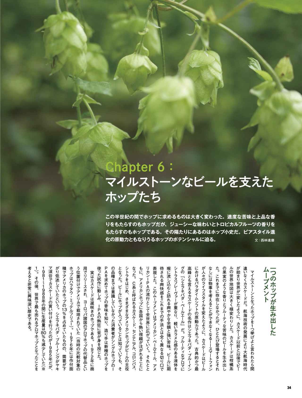 画像5: 『ビール王国 Vol.48』絶賛発売中!おおきく羽ばたきはじめた日本クラフトビールの行方