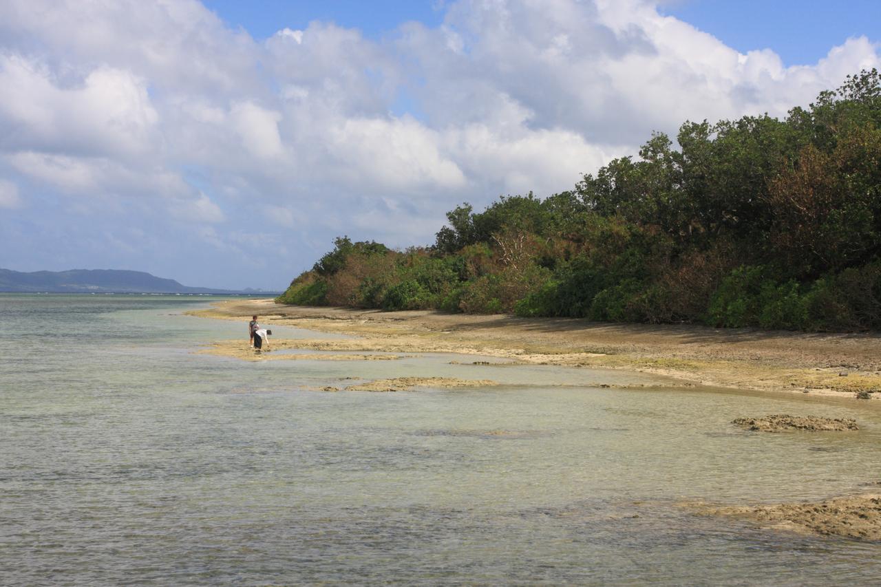 画像: 桟橋北側にある浜では芭蕉布を洗っていたそうでヌヌシャーの浜と呼ばれていた