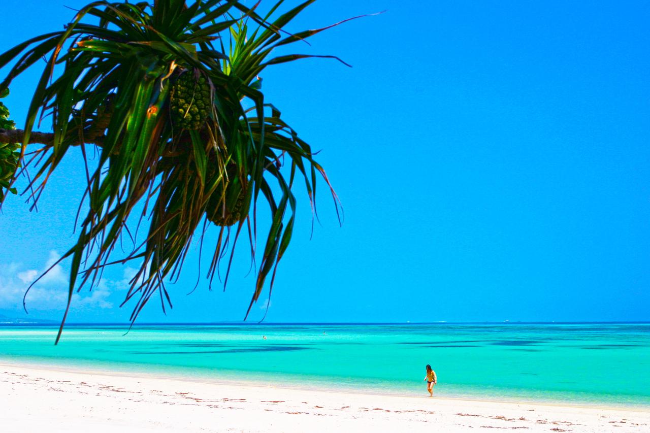 画像: この海の色を見てみたくなりませんか?