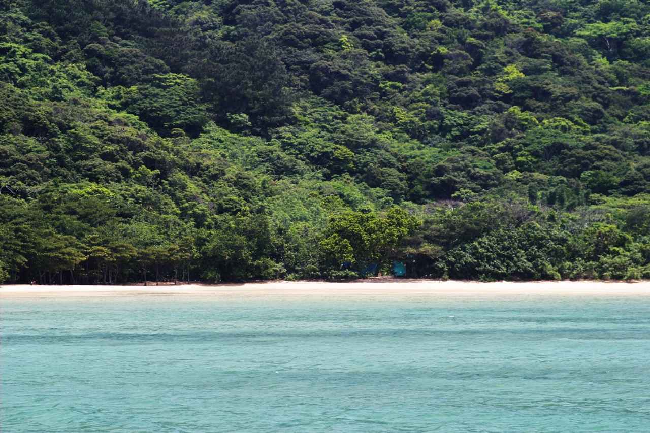 画像: 湾の奥に見えてきたウダラ浜の奥は手付かずのジャングル。