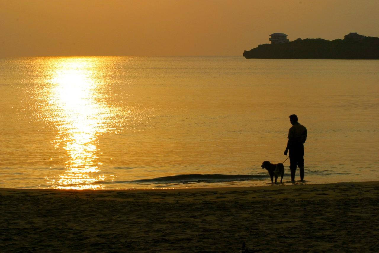 画像: 夕陽の海を眺めながら愛犬と散歩する光景は平和そのものだった。