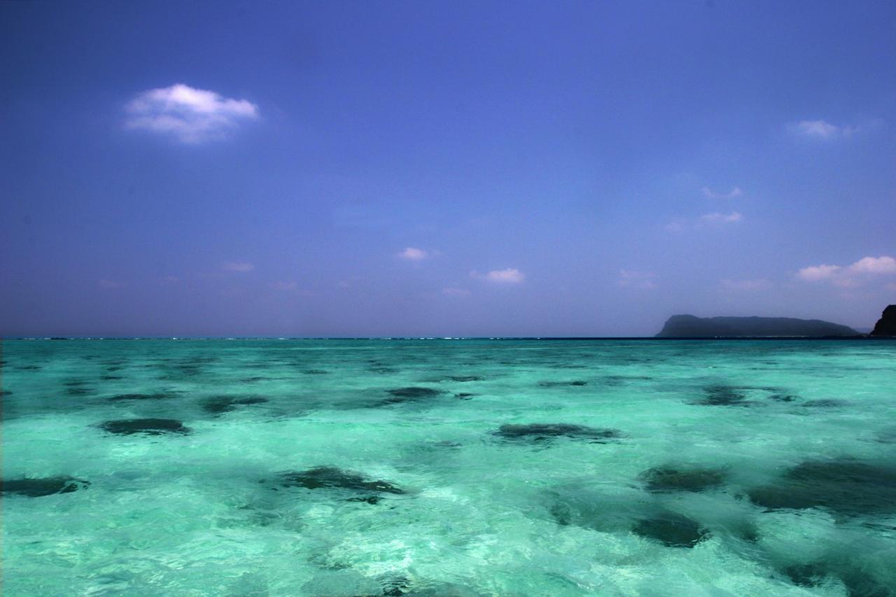 画像: 仕立船でウダラ浜に向かうのだが、網取湾に入ると船の周囲は素晴らしいコーラルブルーに包まれた。