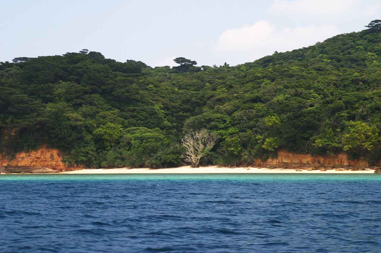 画像: 湾の最深部の浜に西表島のターザンはジャングルの中に掘立小屋を作り住んでいた。
