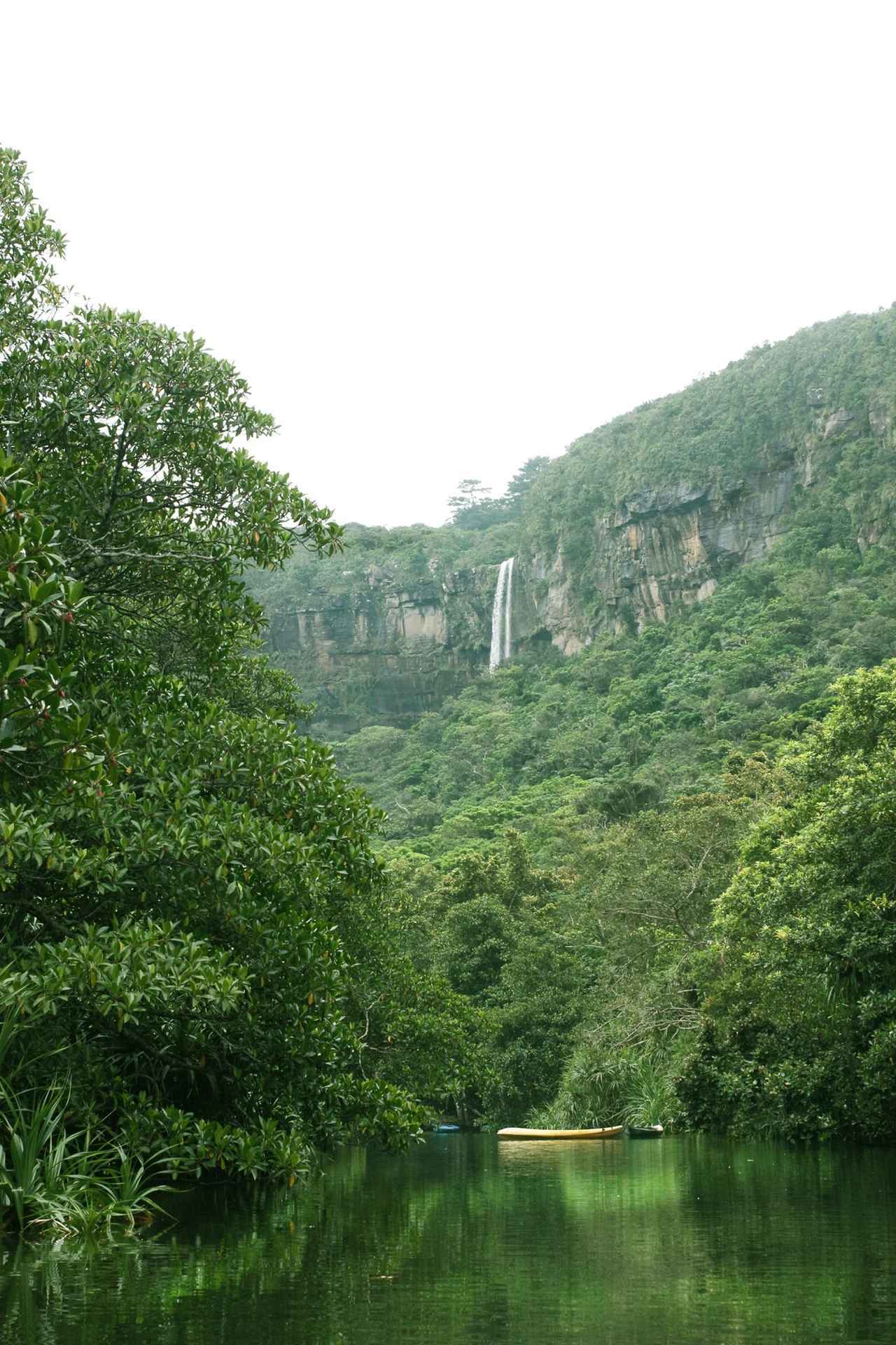 画像: カヌー乗り場から見たピナイサーラの滝の遠景。ヒルギ(マングローブ)に囲まれた川の中をゆっくりと進んでいく。