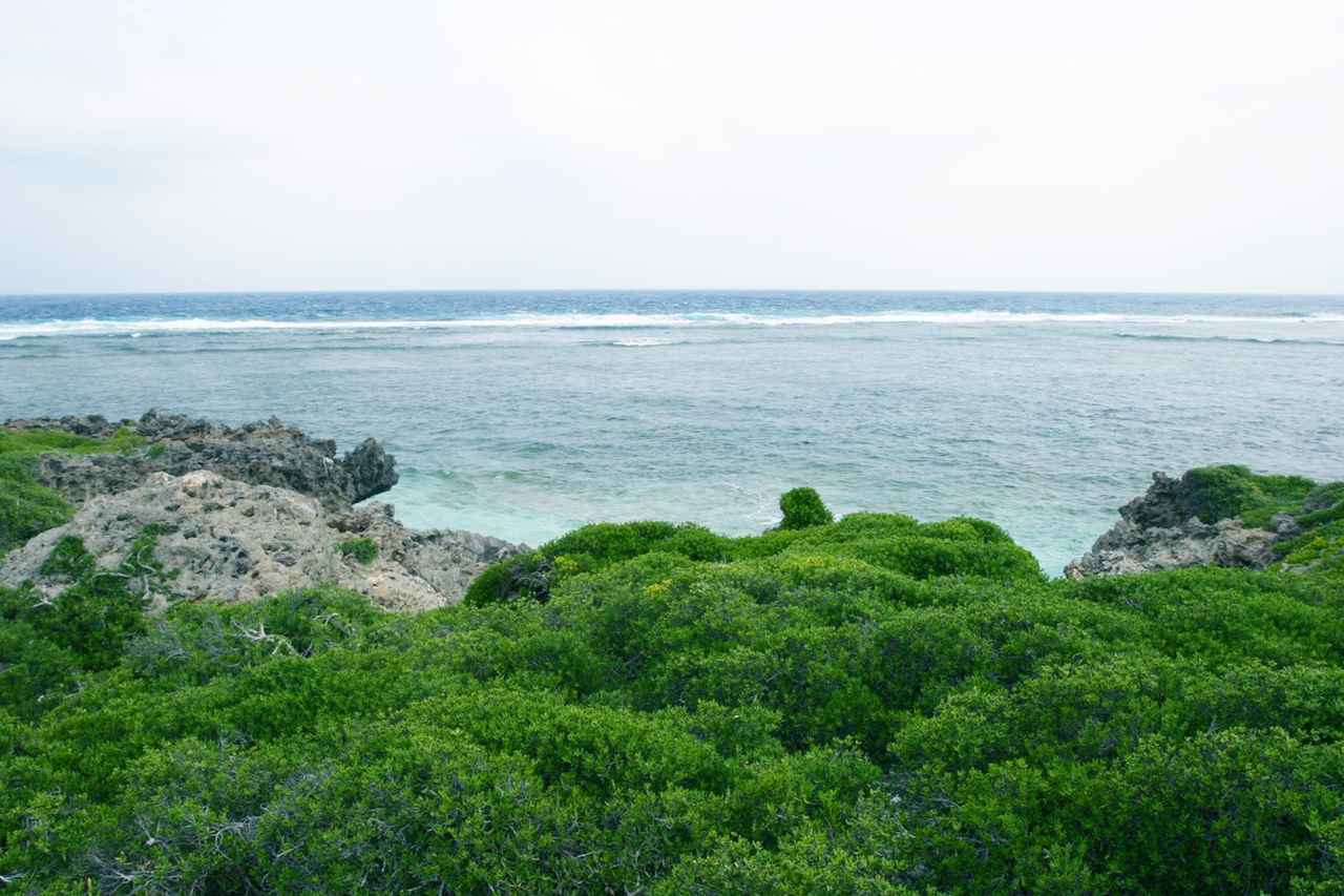 画像: アダンの林を通り抜けると目の前に珊瑚石灰岩の岩場が現れる。その岩場の中にえぐられたような小さな砂浜がある。