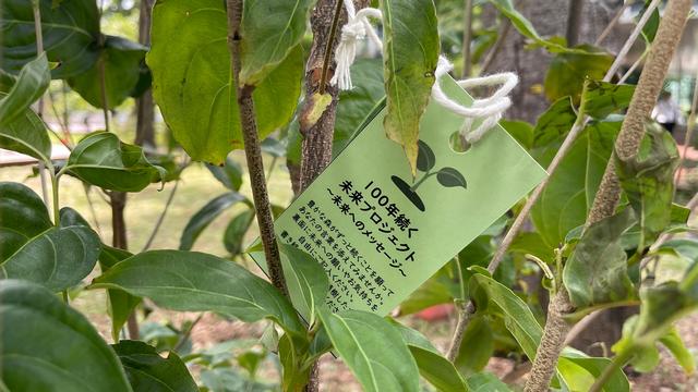 画像: 持続可能な自然環境をめざして