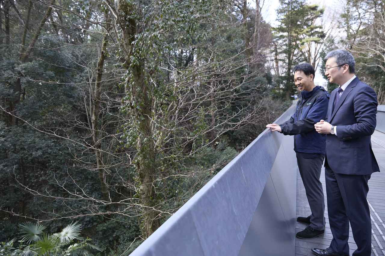 画像: 明治神宮の森づくりと「樹木の本懐」に学ぶ