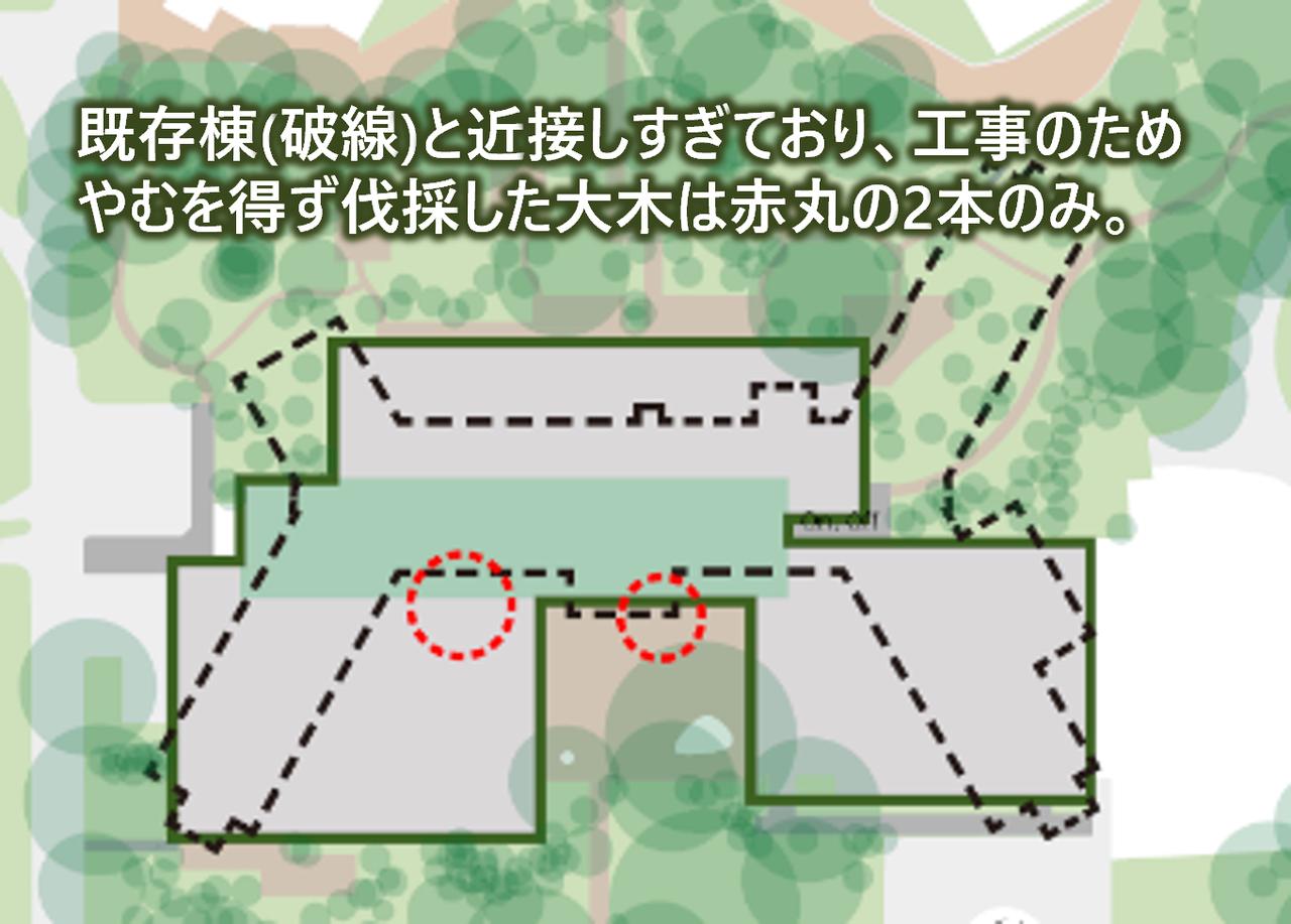 画像2: 「よい立木は切らずによけて建てよ」。森を開き、社会と協創する