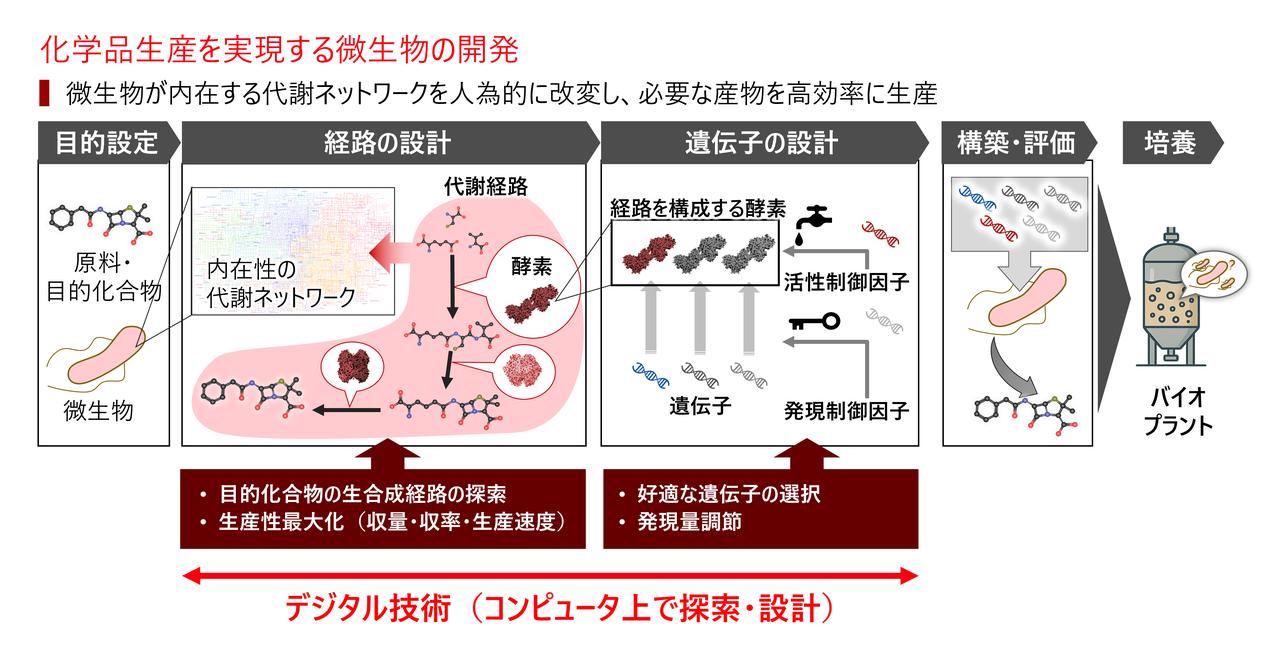 画像: 合成生物学によるバイオものづくりの潮流