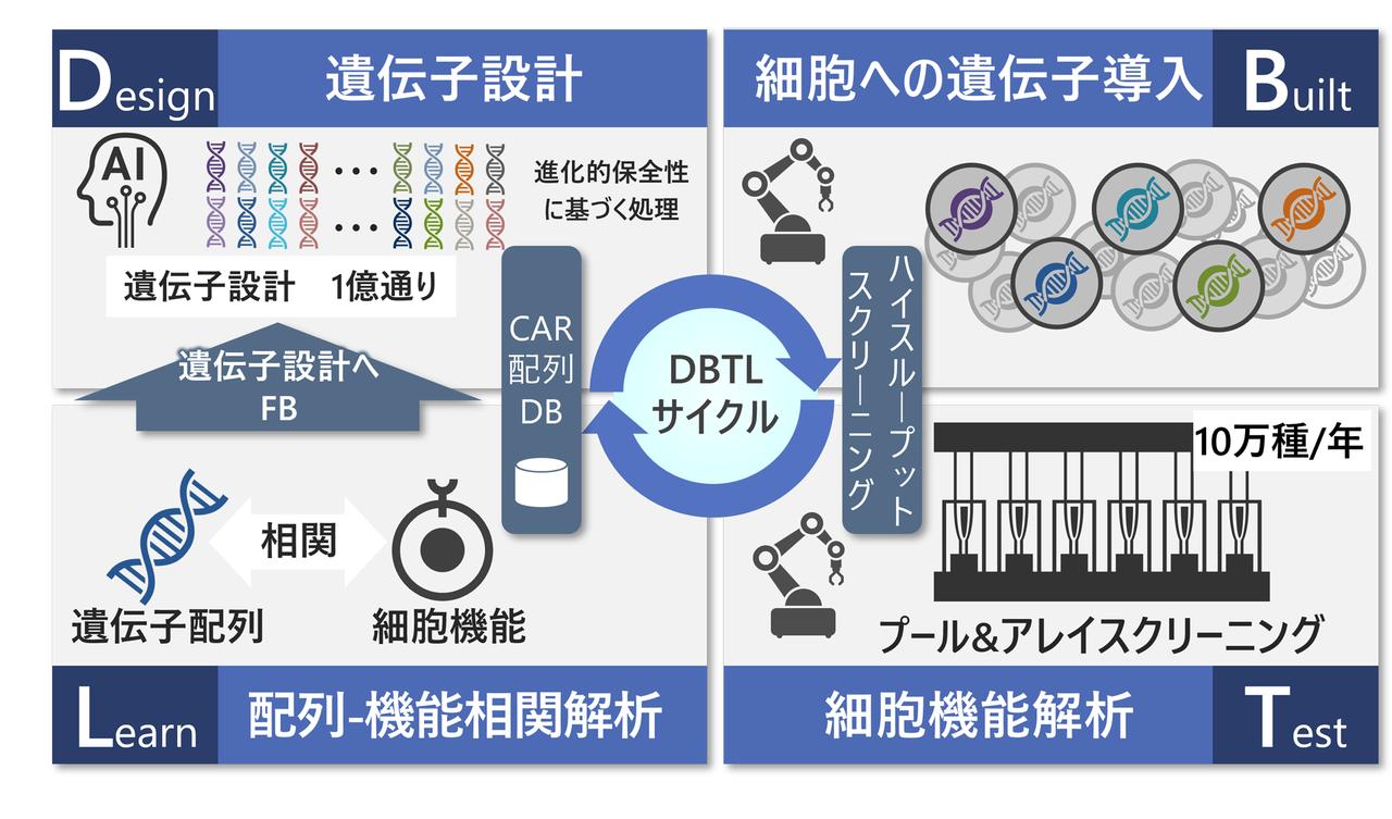 画像: デジタル×バイオ融合により、細胞遺伝子治療薬の効果的な開発を支援する技術を開発 - 研究開発：日立