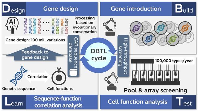 画像: Figure 1. Hitachi’s original DBTL cycle by means of gene sequence generative AI and high-throughput screening technology