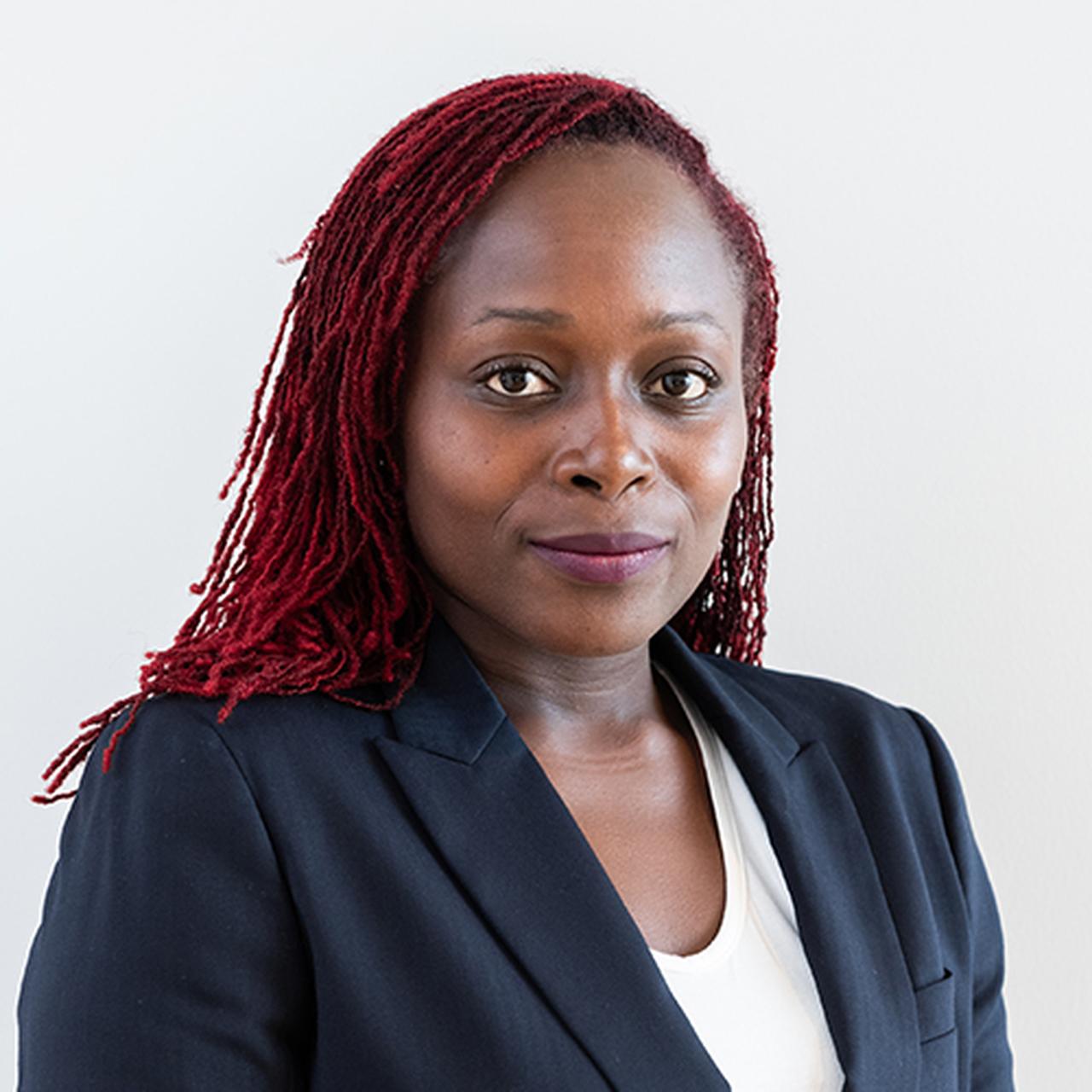 画像3: Leveraging Diversity to Drive Change: The Challenge of a Healthcare Project in Africa
Part 1