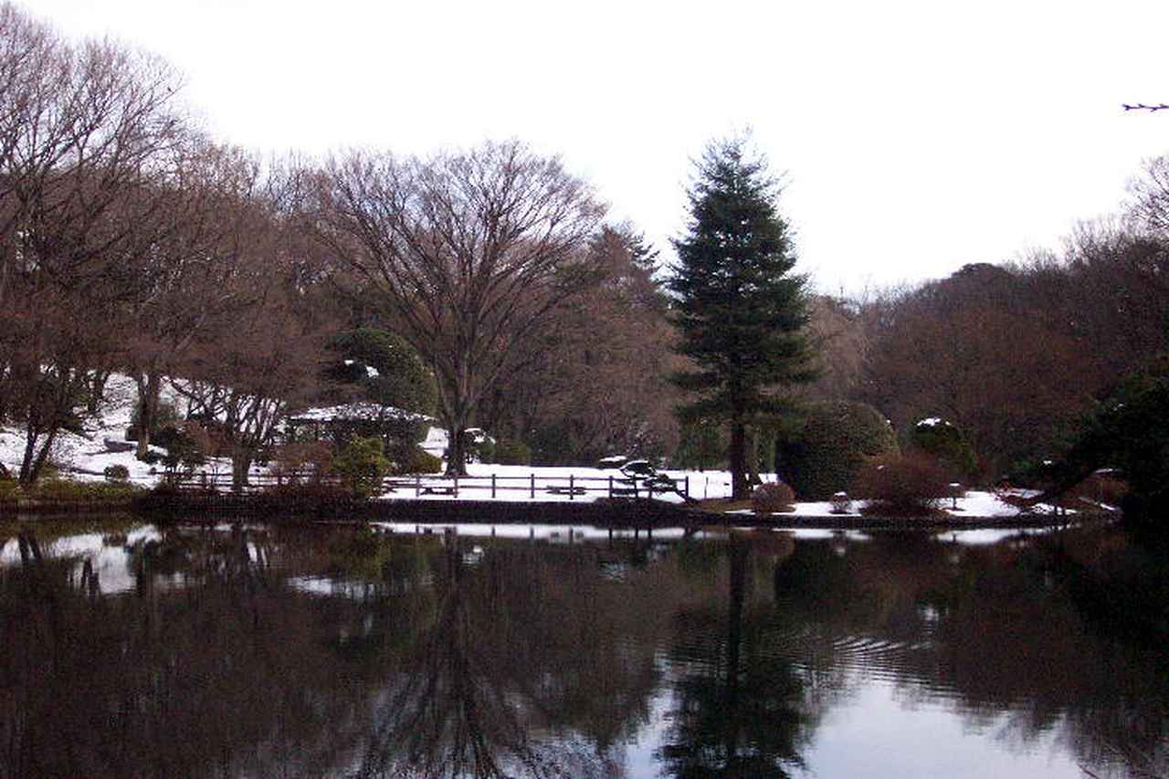 画像: Natural environment of Kyōsō-no-Mori : Hitachi