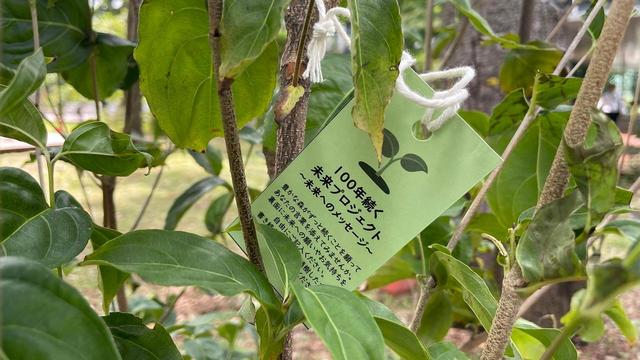 画像: Toward a sustainable natural environment