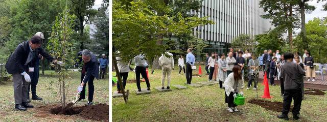 画像: Nurturing a forest for the future together