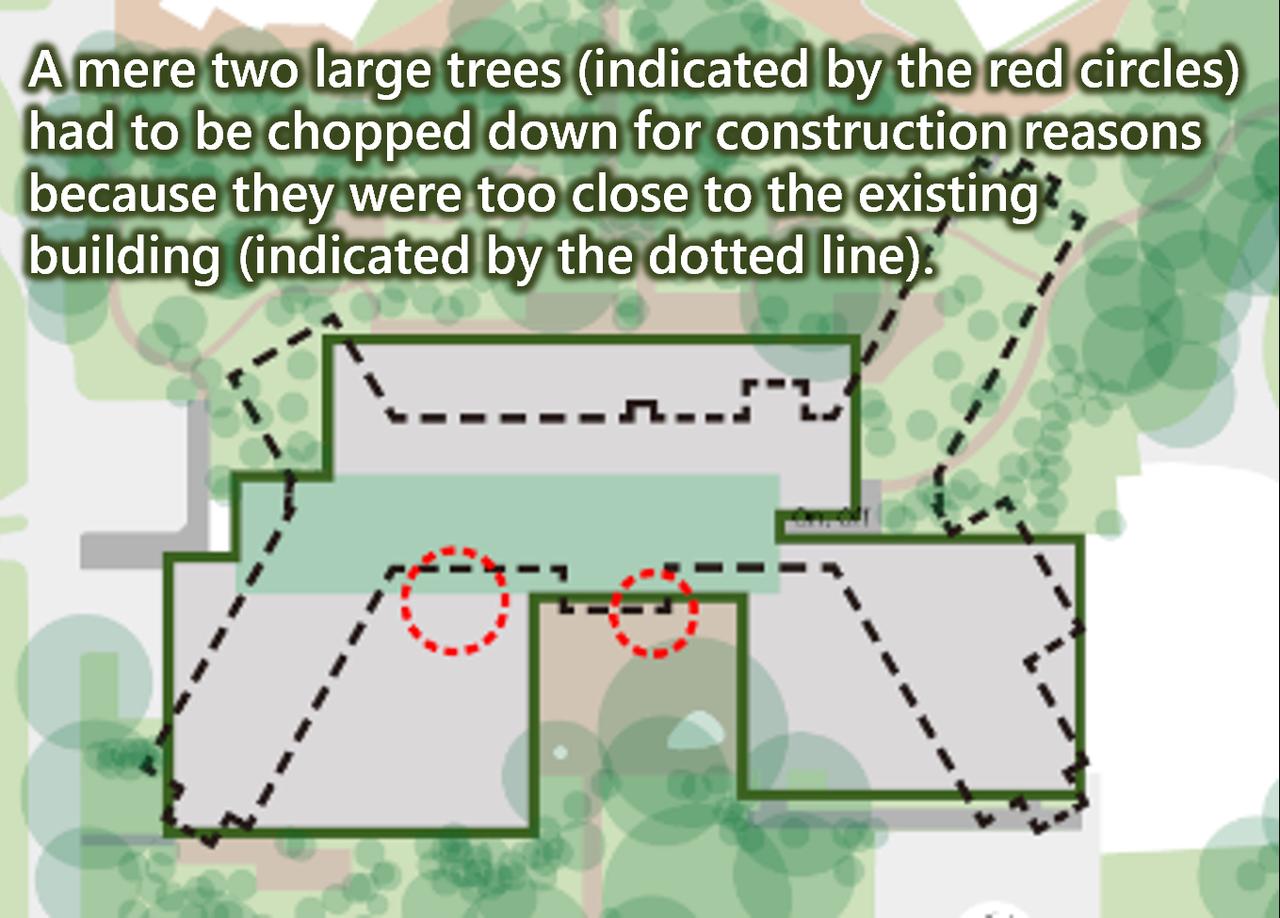 画像2: “Don’t Cut Down Good Trees; Build Around Them.”