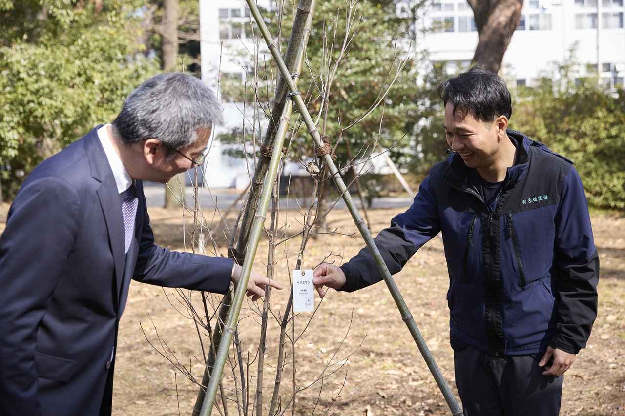 画像: Envisioning a New Relationship between Forests and People