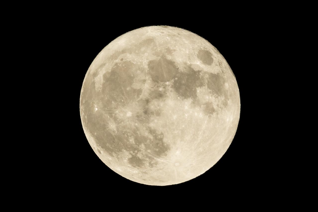 画像: 画像:iStock.com/Cylonphoto