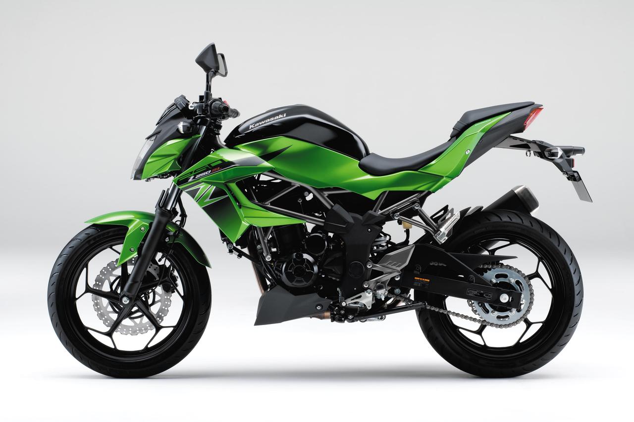 画像2: KAWASAKI Z250SL（2016年モデル）