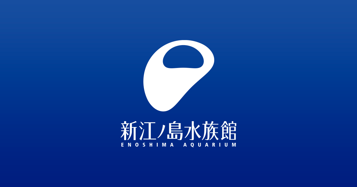 画像: 新江ノ島水族館