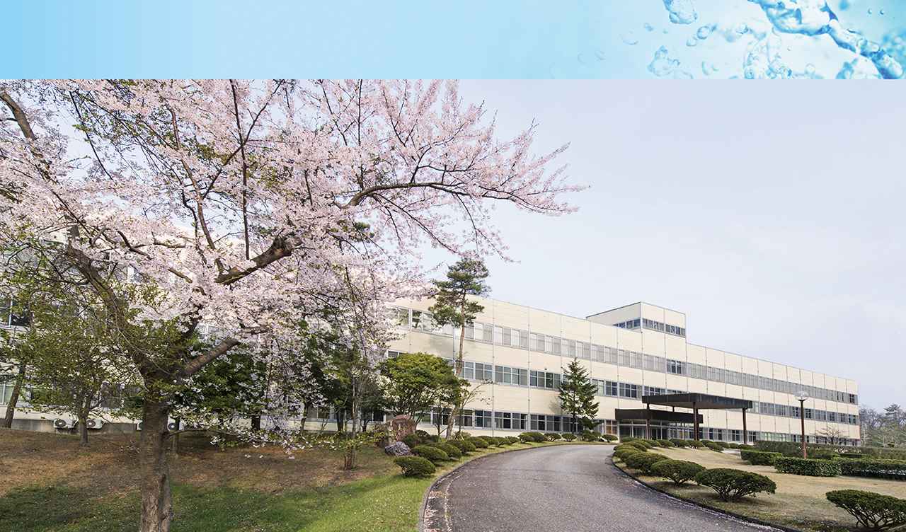 画像: 春は桜並木も見事な中条事業所