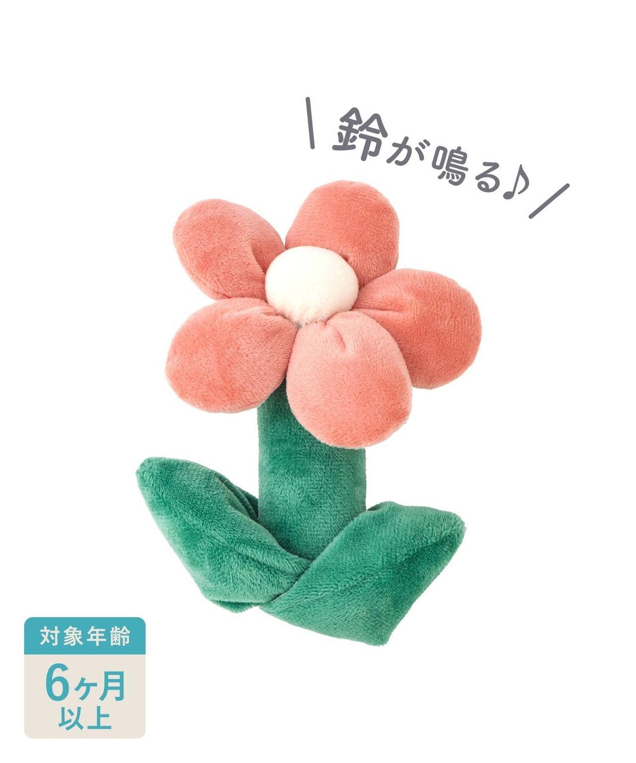 画像2: 出典:3COINS