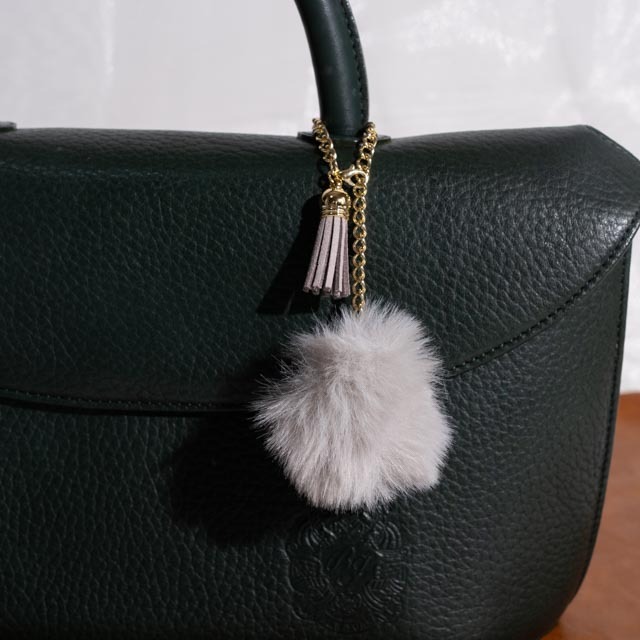 画像1: 出典：ftn_pics