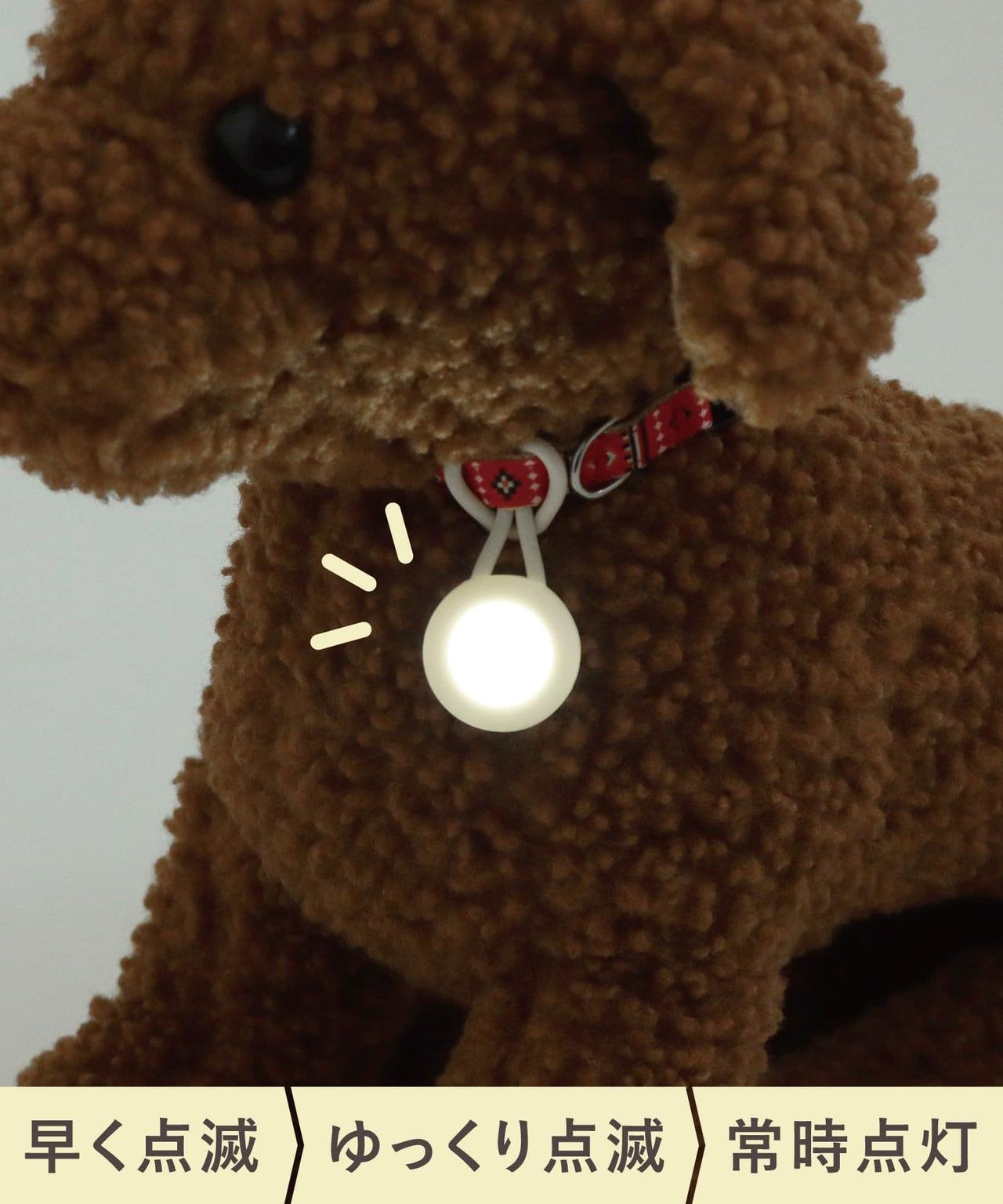 画像2: 出典：3COINS