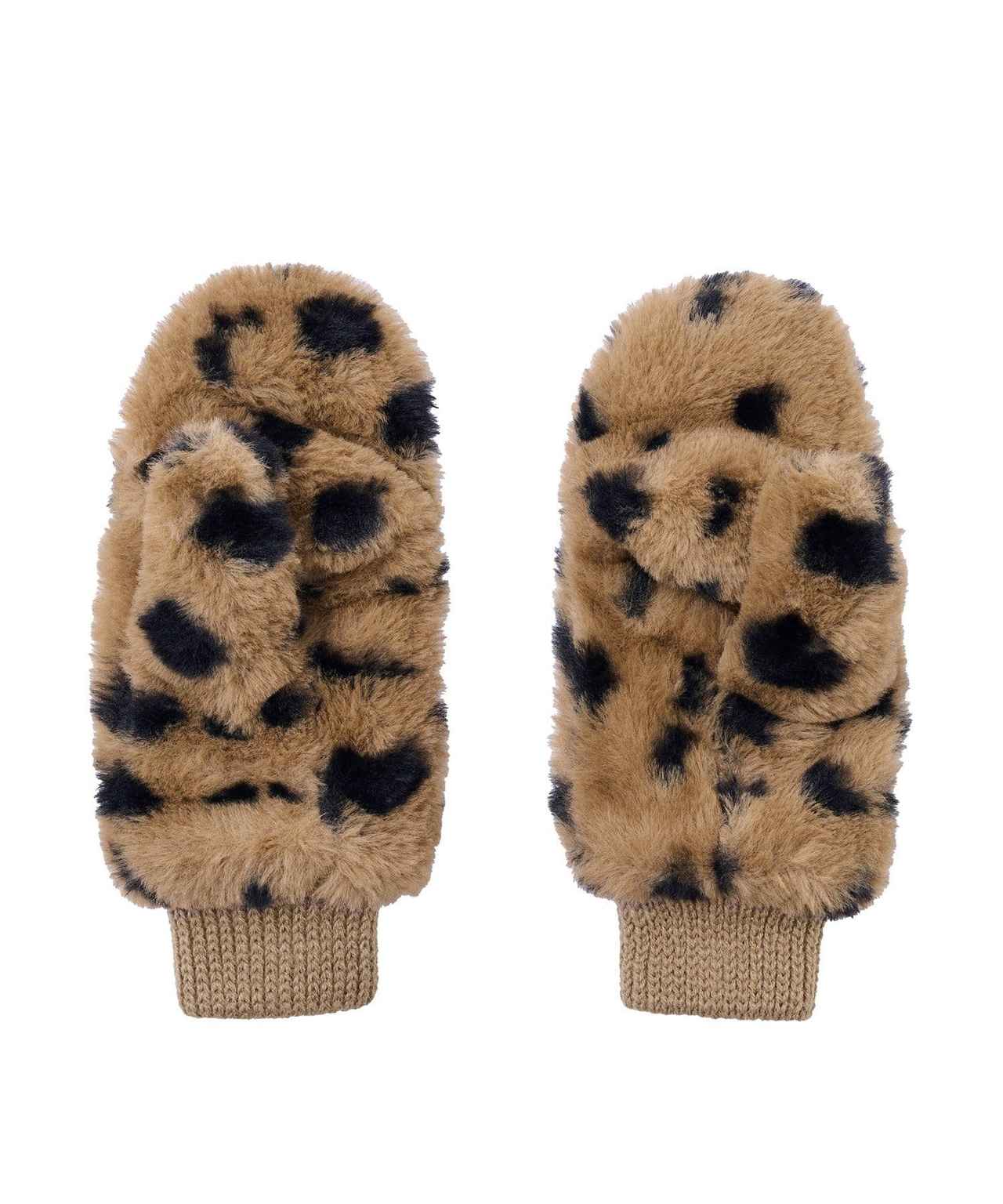 画像3: 出典：3COINS