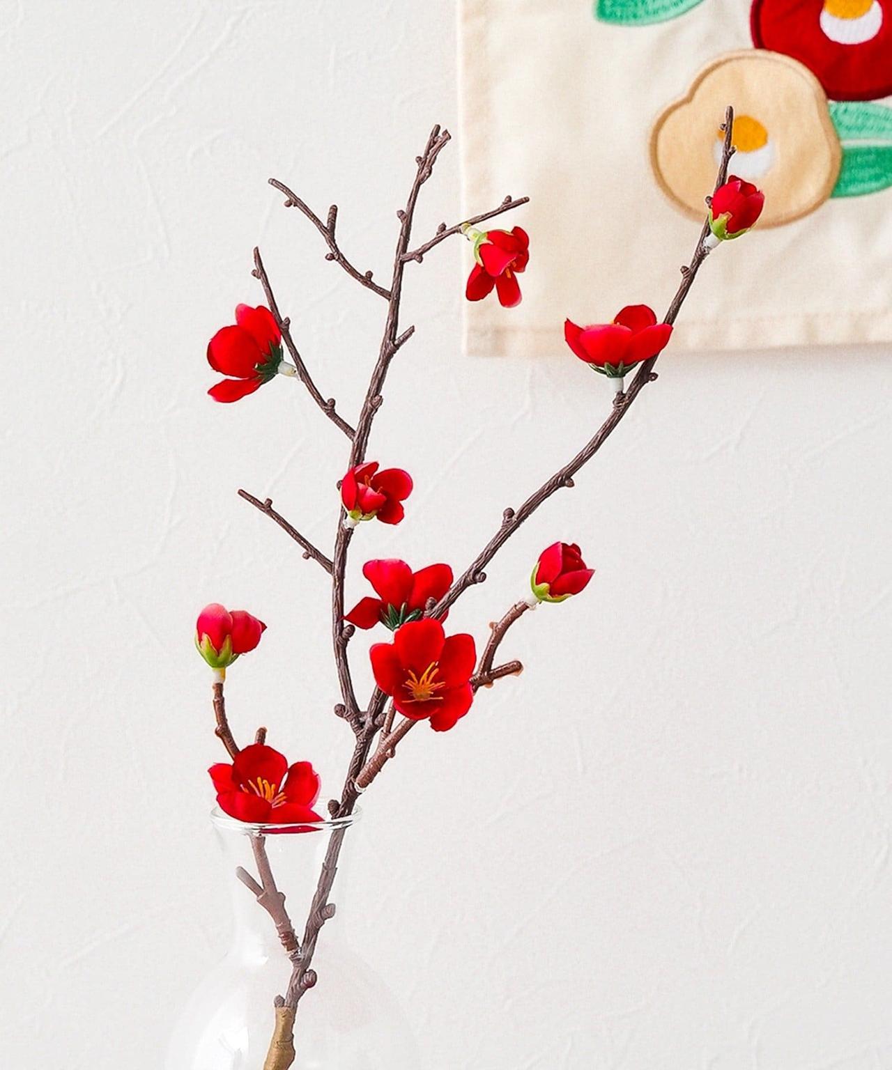 画像2: 出典：3COINS