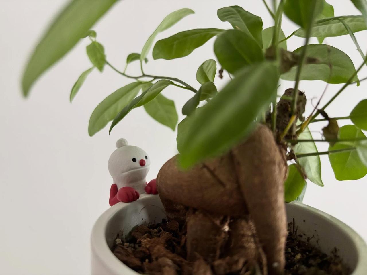 画像2: 出典:ftn_pics