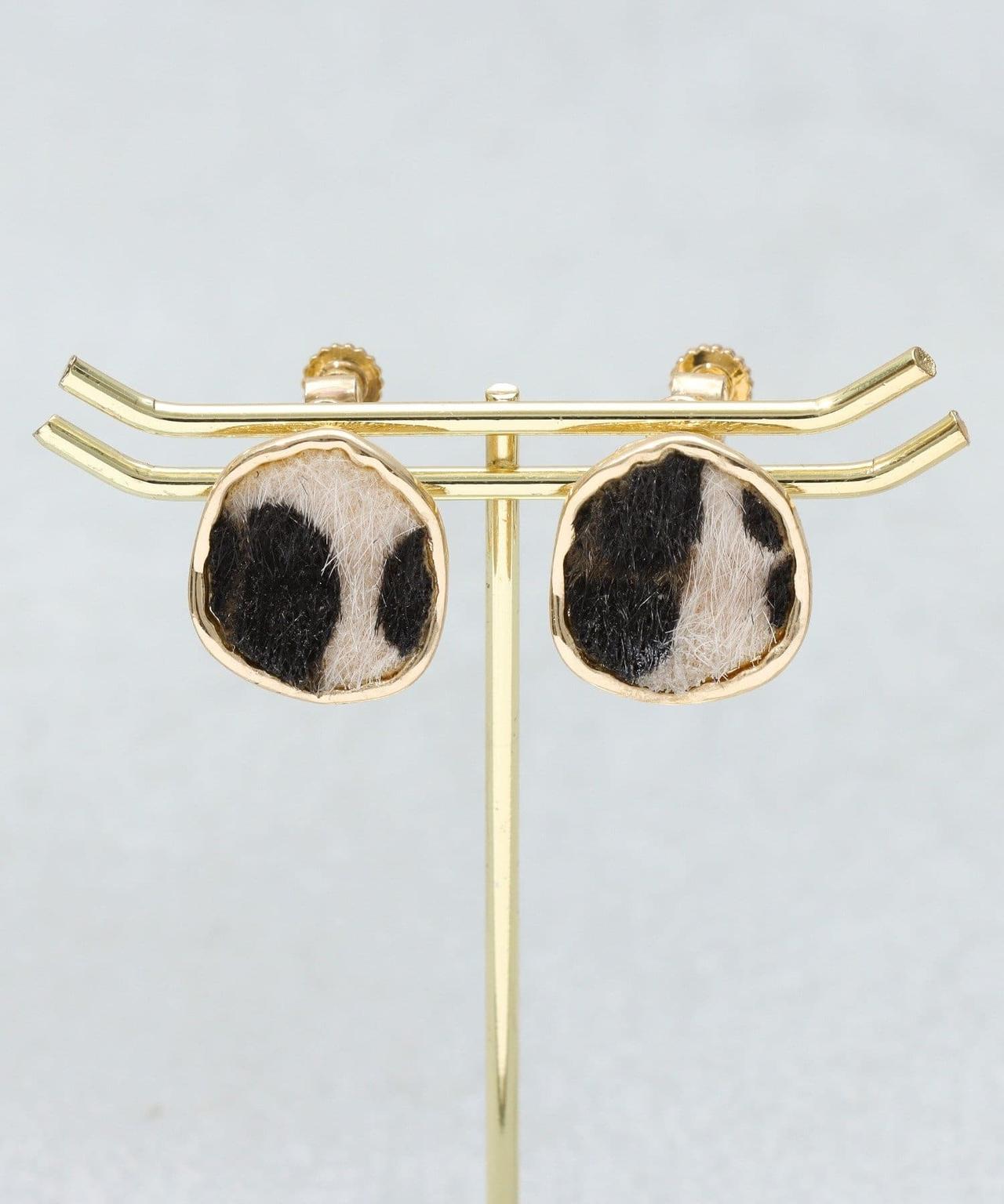 画像2: 出典：3COINS