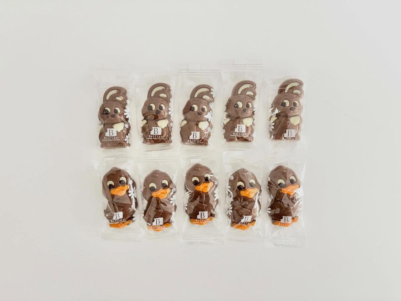 画像2: 出典：ftn_pics