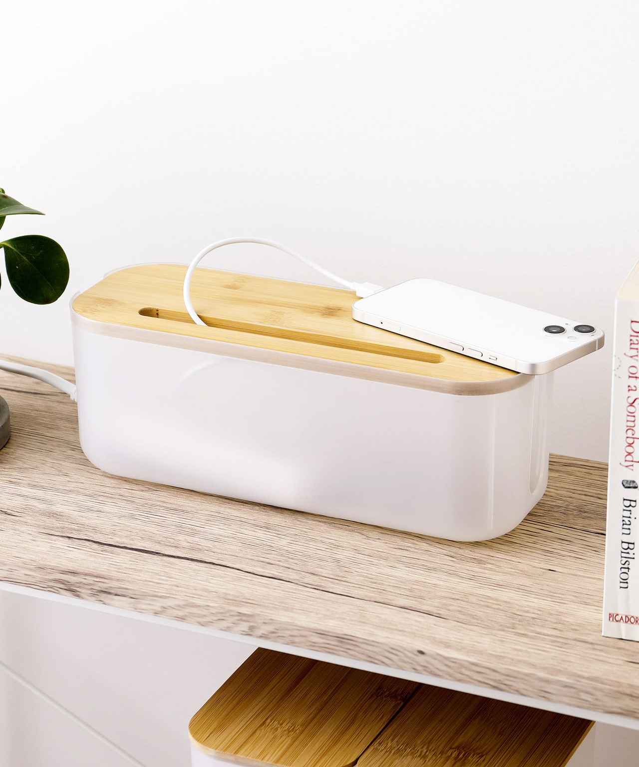 画像2: 出典：3COINS