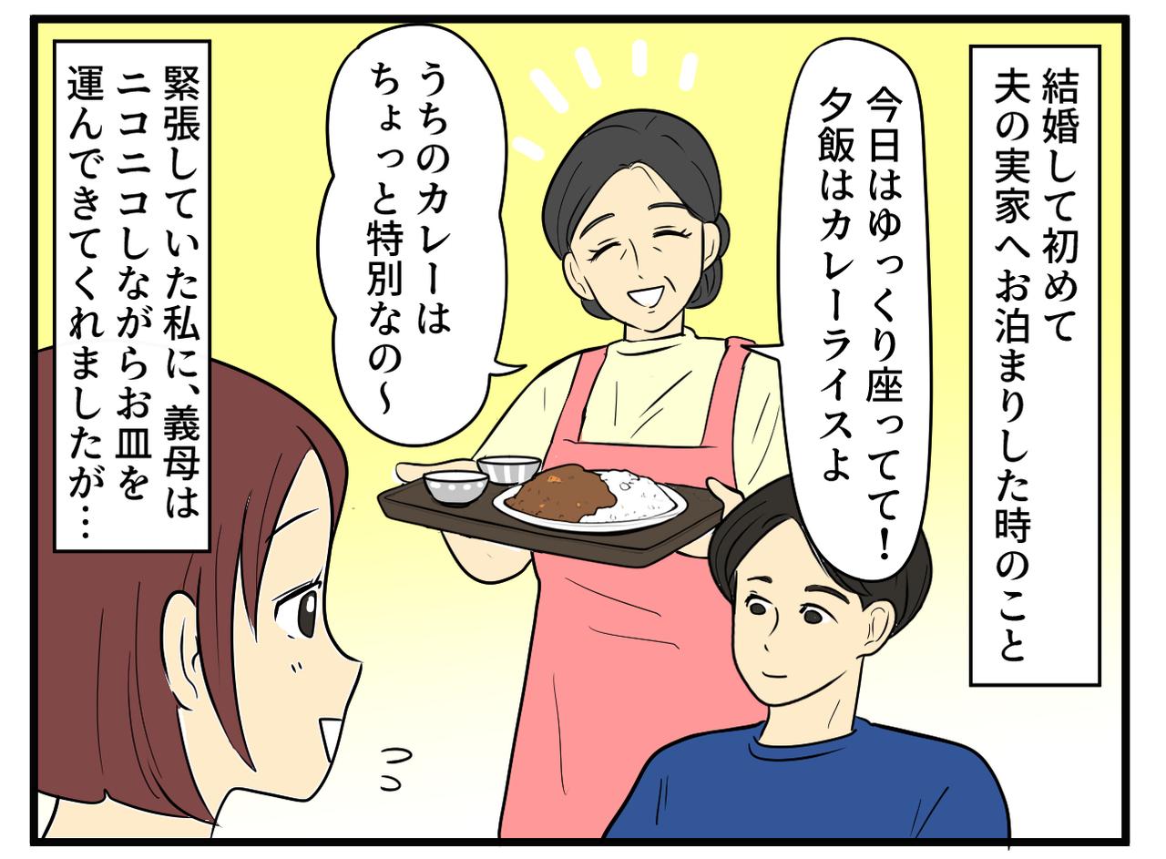 画像1: 義実家で出された衝撃的なカレー