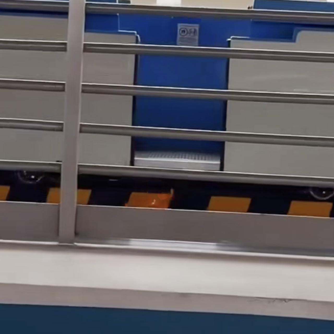 画像: 出典：roycesclips/TikTok
