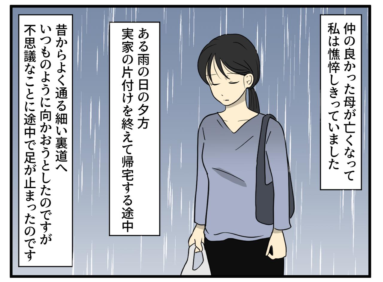 画像1: ある雨の日の帰り道