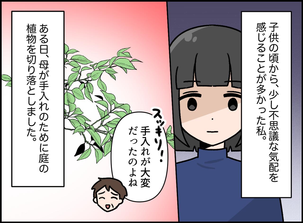 画像1: 毎晩現れる不気味な影……