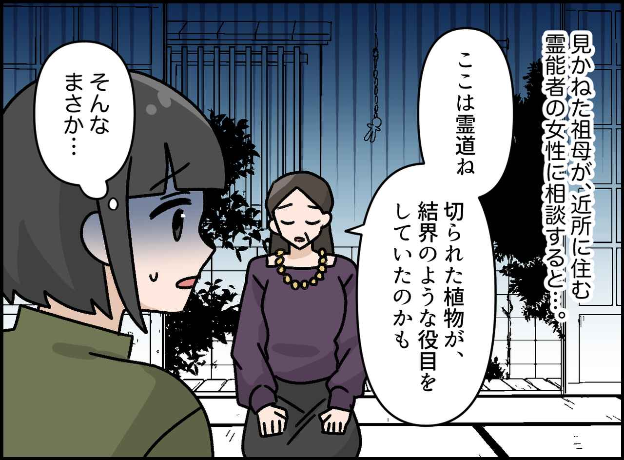 画像3: 毎晩現れる不気味な影……