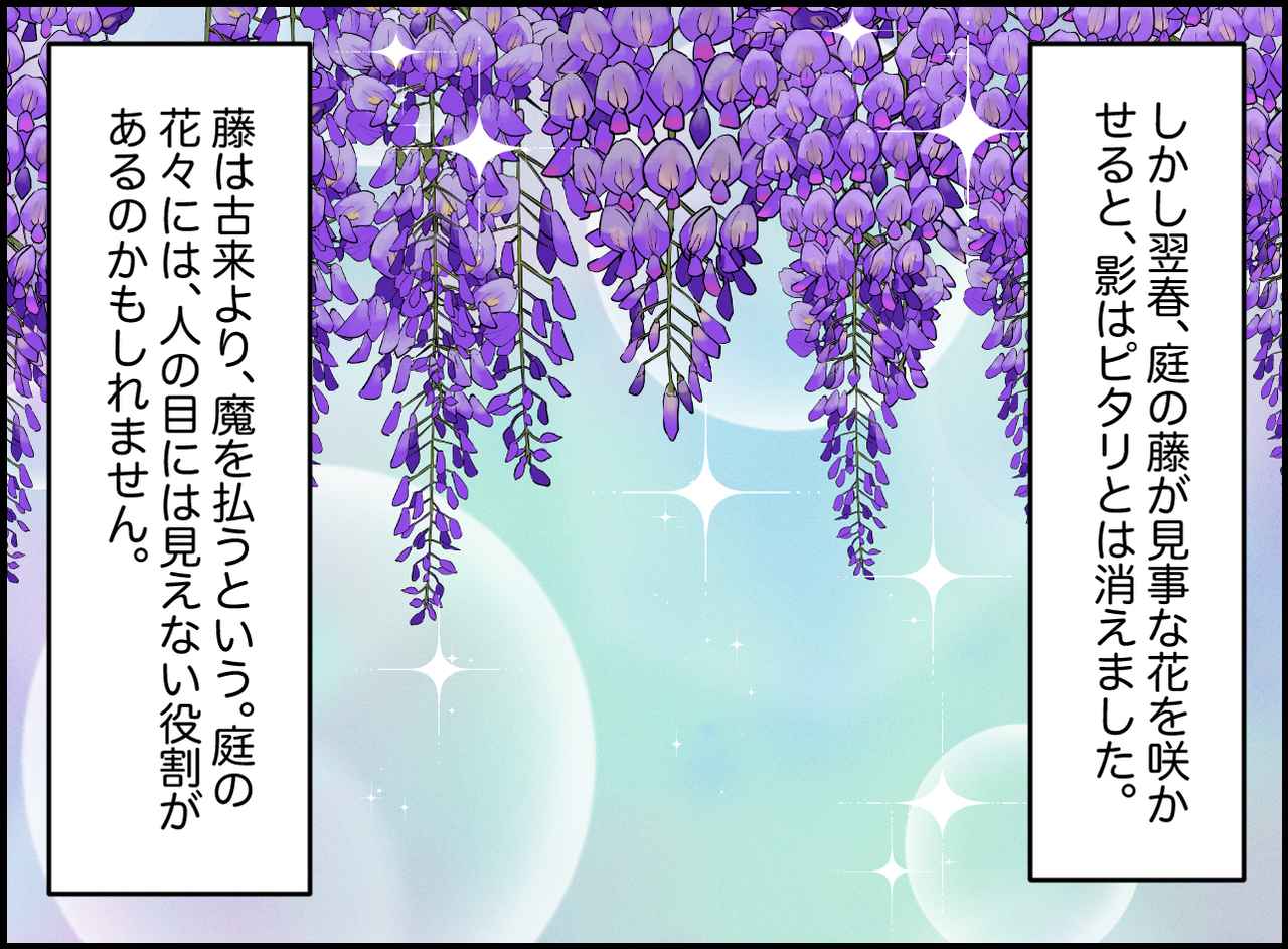 画像4: 毎晩現れる不気味な影……