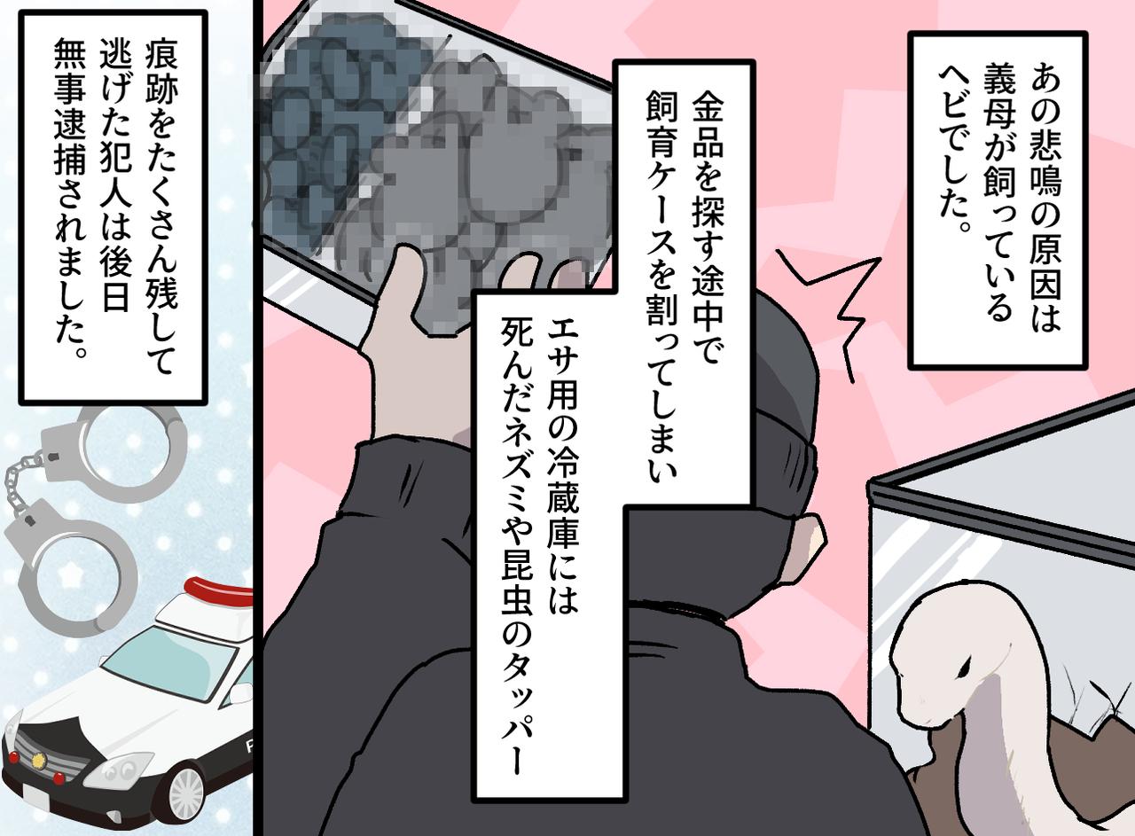 画像4: 日中鍵をかけない義母