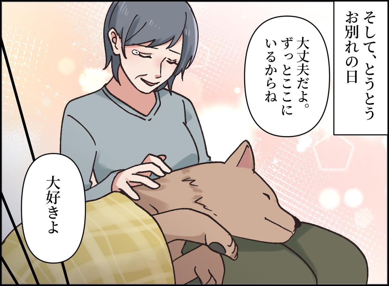 画像3: 最期までそばに