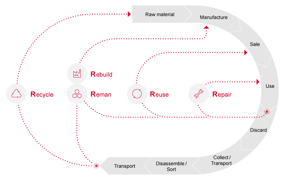 画像: Position Within the 5R