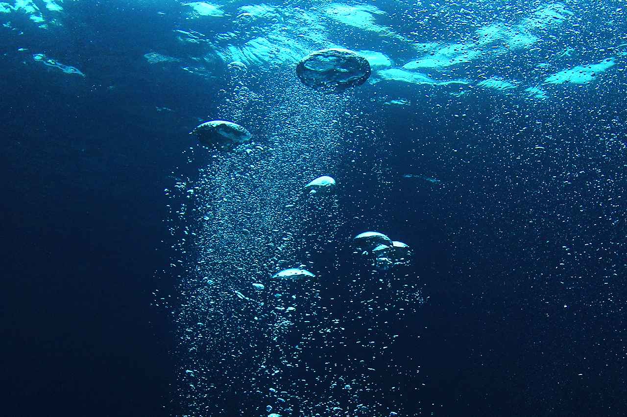 画像: A Gentle Answer Beneath the Waves